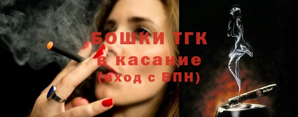 МДПВ Новозыбков