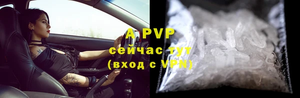 ешки Новодвинск
