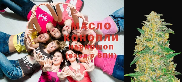 ешки Новодвинск