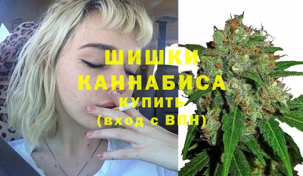 МДПВ Новозыбков