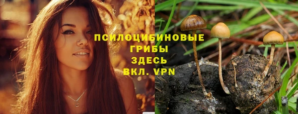 МДПВ Новозыбков