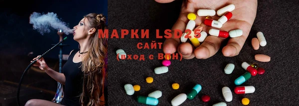 ешки Новодвинск