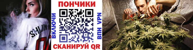 Бошки Шишки Ganja  как найти наркотики  OMG tor  Ильский 